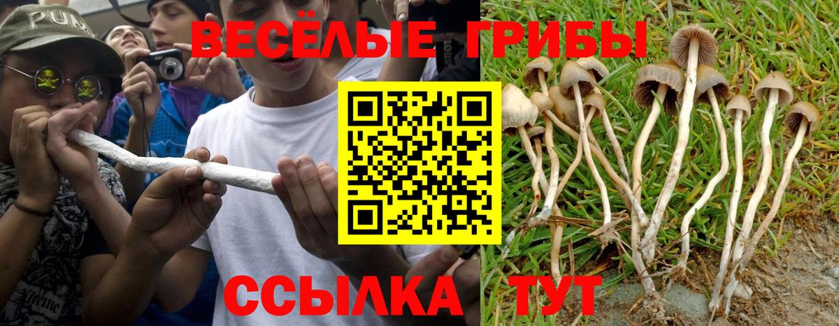 Псилоцибиновые грибы Magic Shrooms Домодедово