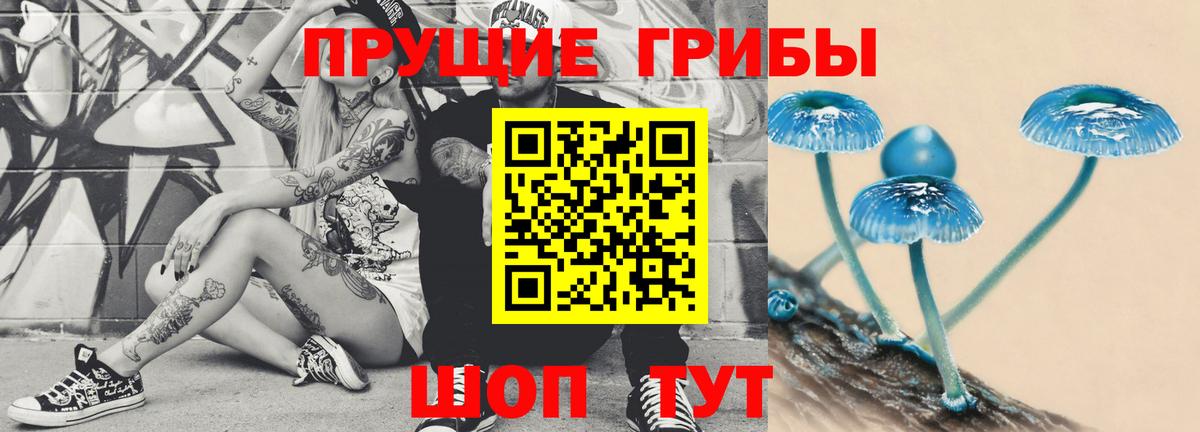 Псилоцибиновые грибы Psilocybe  Вход с VPN  Домодедово  Псилоцибиновые грибы мицелий 